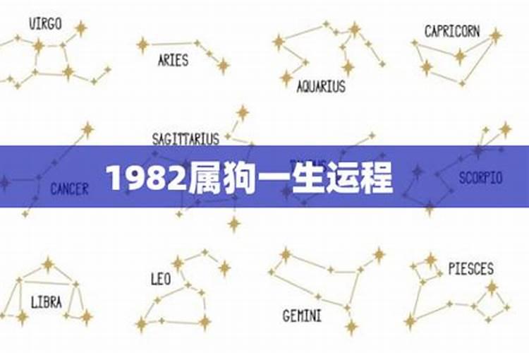 82年属狗人的命运