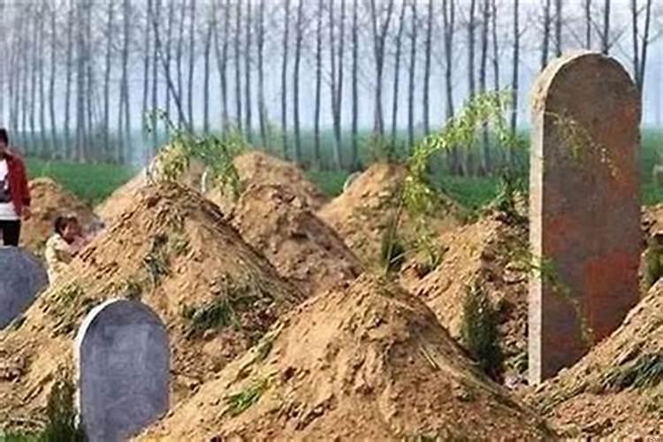 如何判断坟地风水好不好