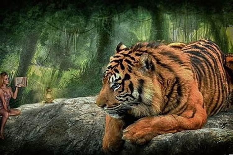 梦到老虎进院子，心里特别的害怕