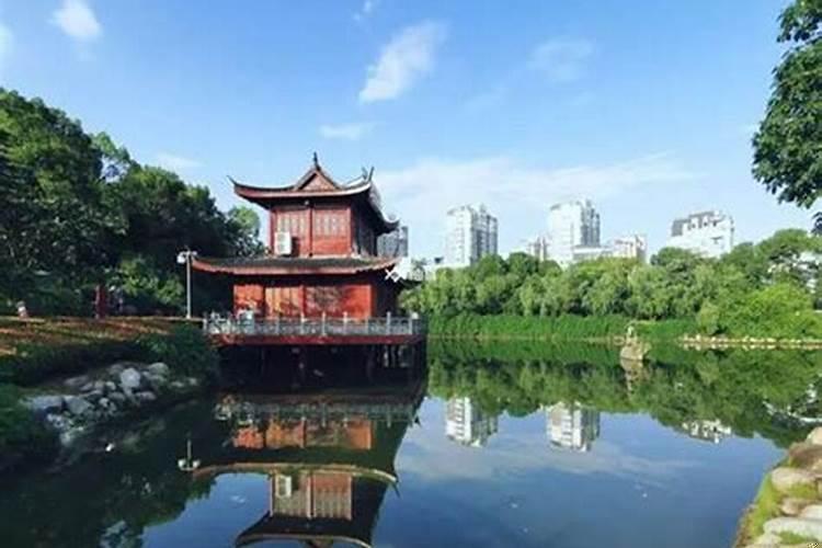 属蛇与属猪相处怎么样