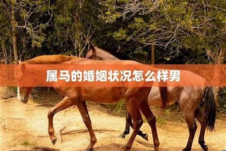 1990属马的婚姻和命运