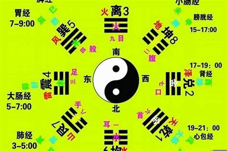 十二地支的卦象