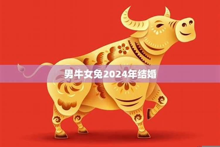 85年男牛和87年女兔的婚姻怎么样