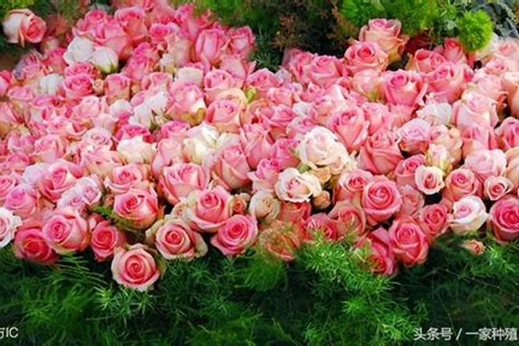 怎样看楼房的风水