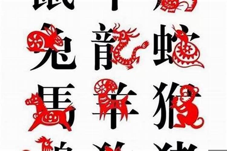 劫难是指什么生肖