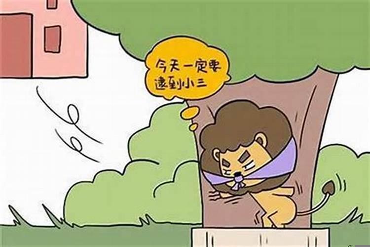 狮子座男生还喜欢你的表现