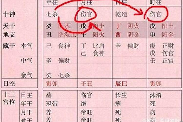 什么是伤官格的八字
