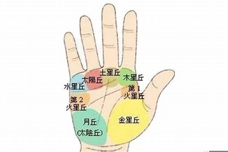 手相福禄寿三丘隆起