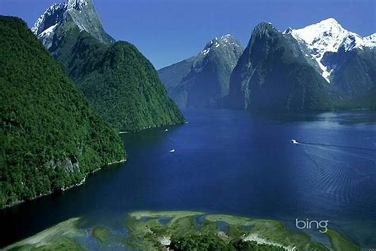 农历11月属鼠运势