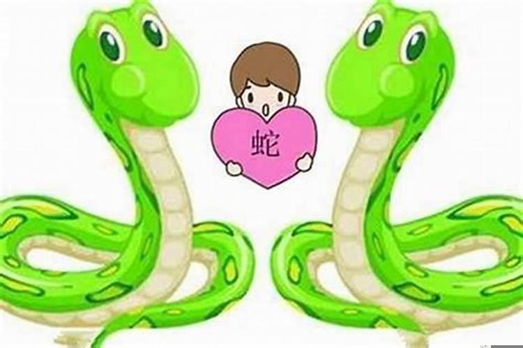属蛇的男生和什么女生最配