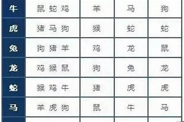 属牛和什么生肖最不合