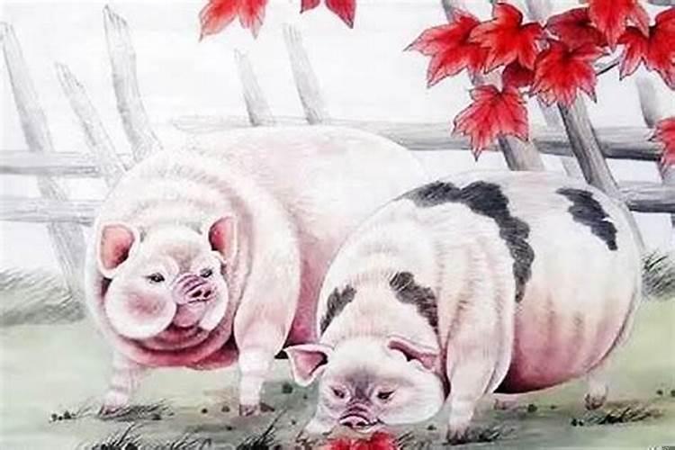 属猪男的和什么属相最配最旺财