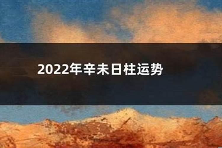 辛未日主2022年走的什么运