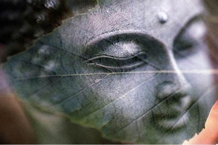 魁罡贵人在日柱是什么意思