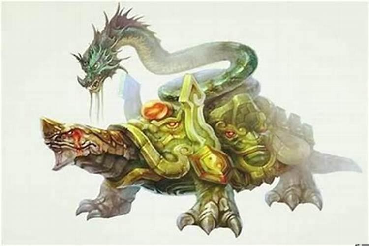 一家三口都是属猪的好吗