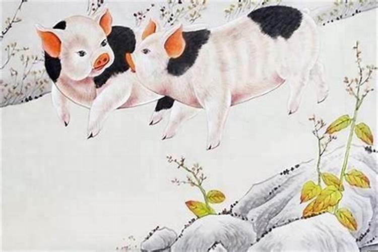 一家三口都是属猪的好吗