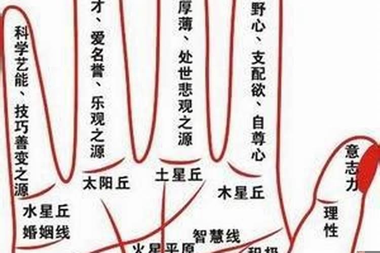 看手相影响运气吗