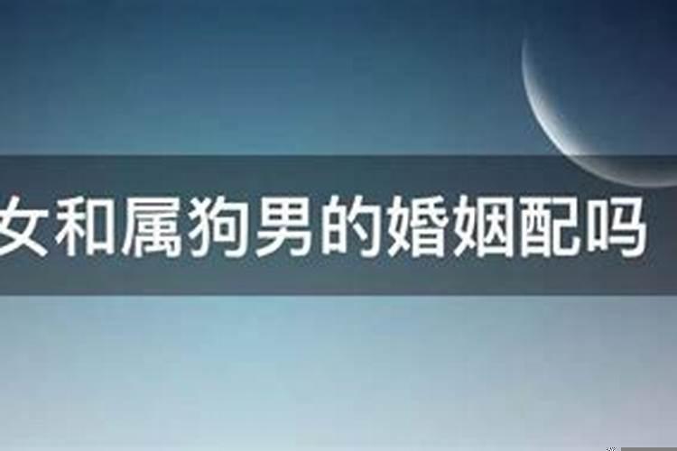 属虎女和属狗男的婚姻如何