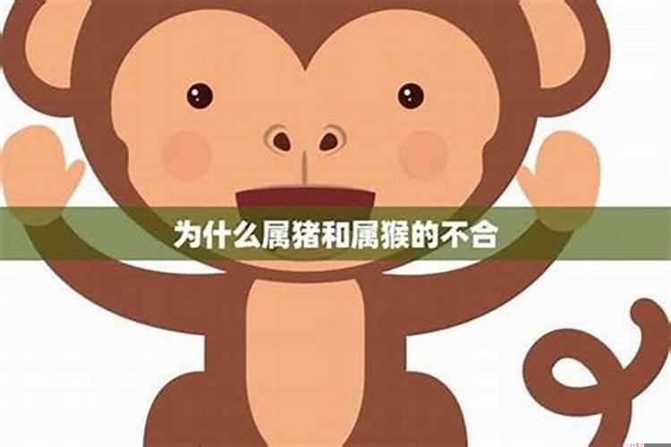 属猪的可以和属猴的在一起吗