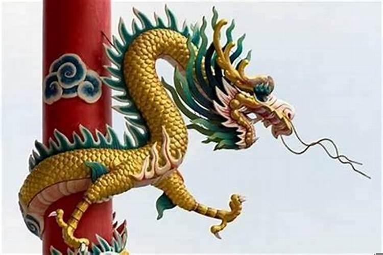 本命年的大忌属龙