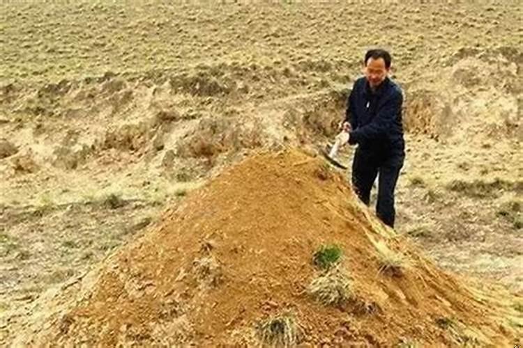 人死后为什么要上坟