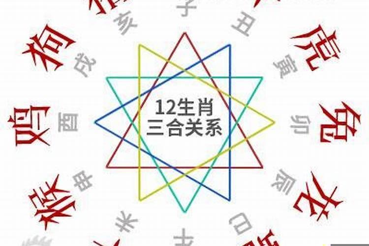 属龙三合贵人生肖