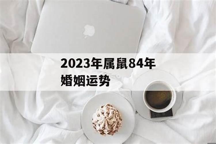 2021年84年属鼠感情婚姻运