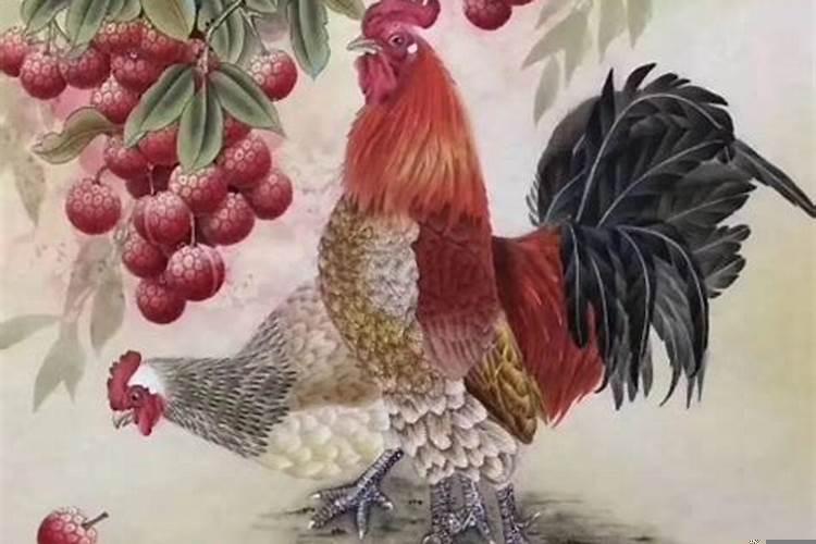 属鸡1981年2025年运势