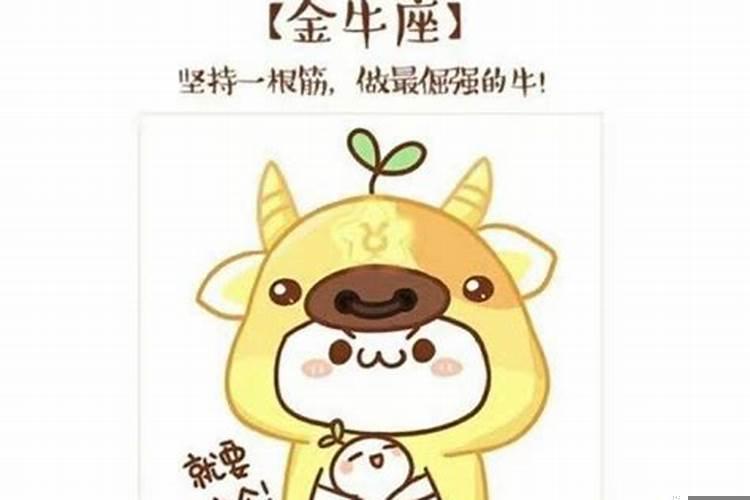 挽回死心的金牛男