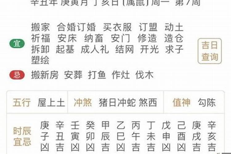 丁亥日是属什么