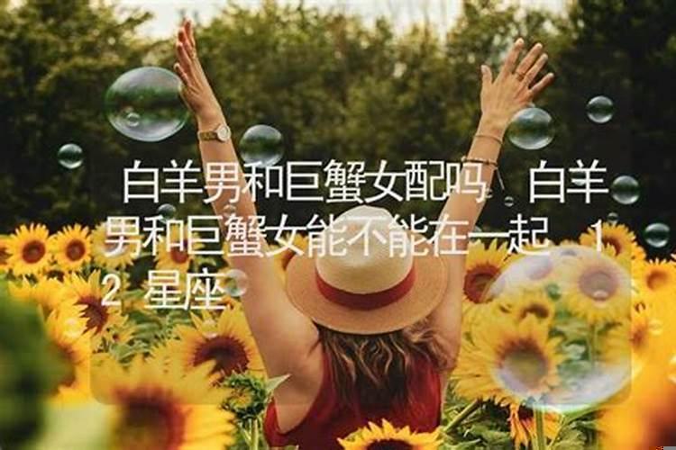 巨蟹女能不能追到白羊男