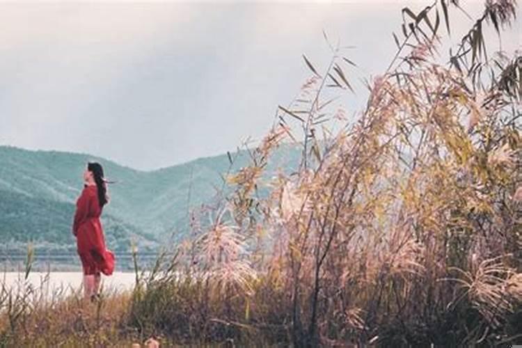 为什么小人往往过得很好