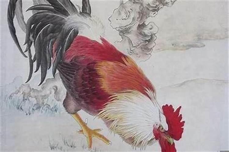 生肖属鸡的今年婚姻怎样