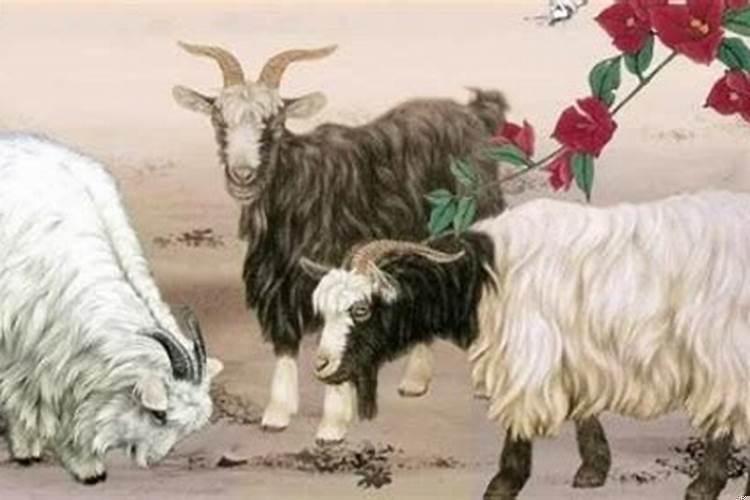 十羊九苦属羊人最命苦的月份