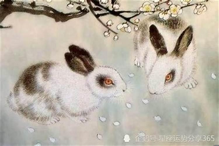 87年的兔和87年的兔相配吗