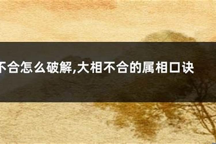 属相不合怎么破解