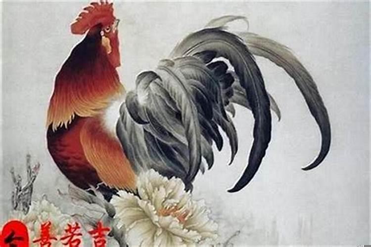 1993年属鸡今年运程