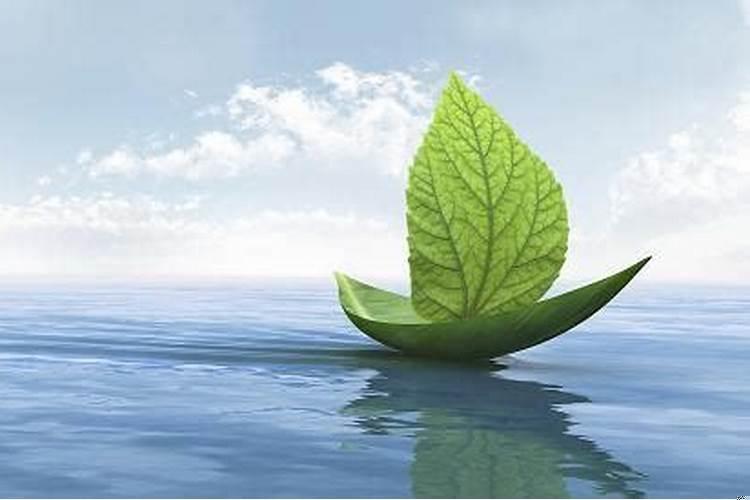 看房子下雨好不好