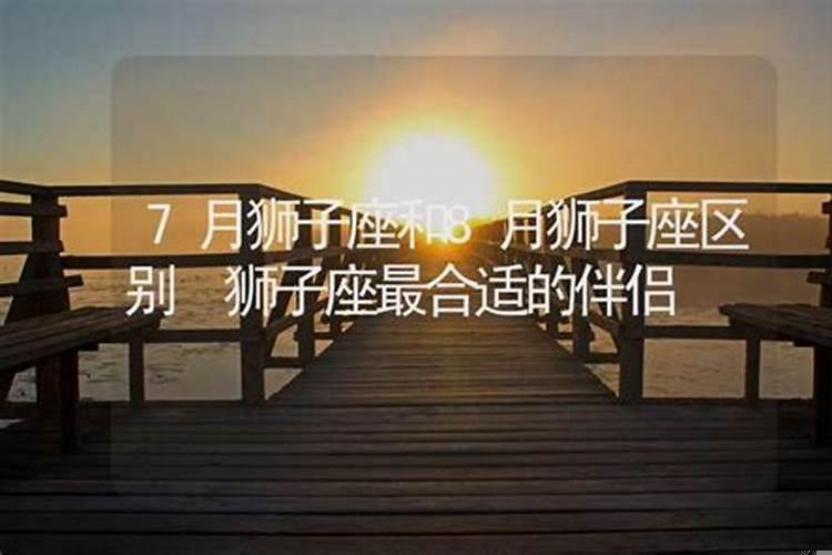 狮子座的伴侣是什么座