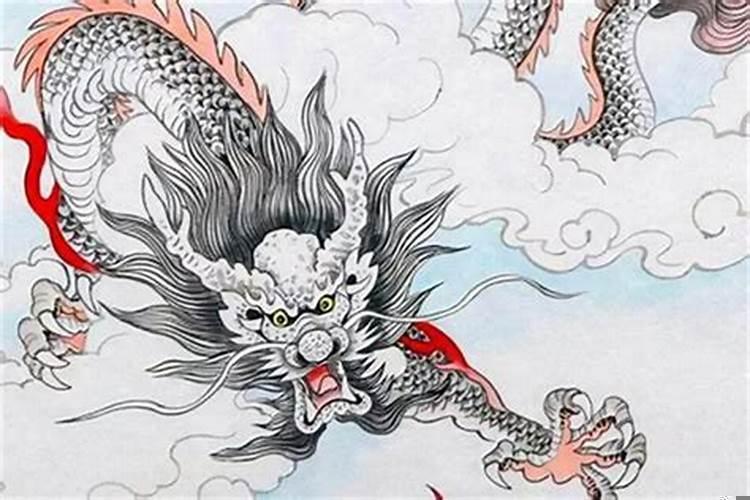 属龙1988年是什么命