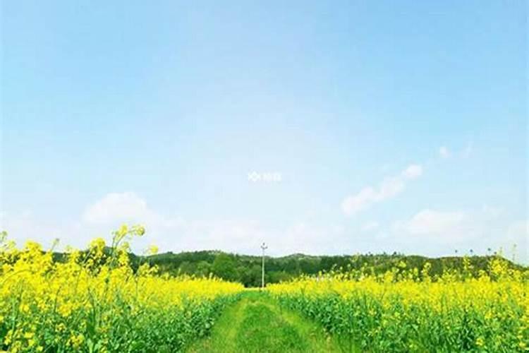 预示生男五月生女是什么意思