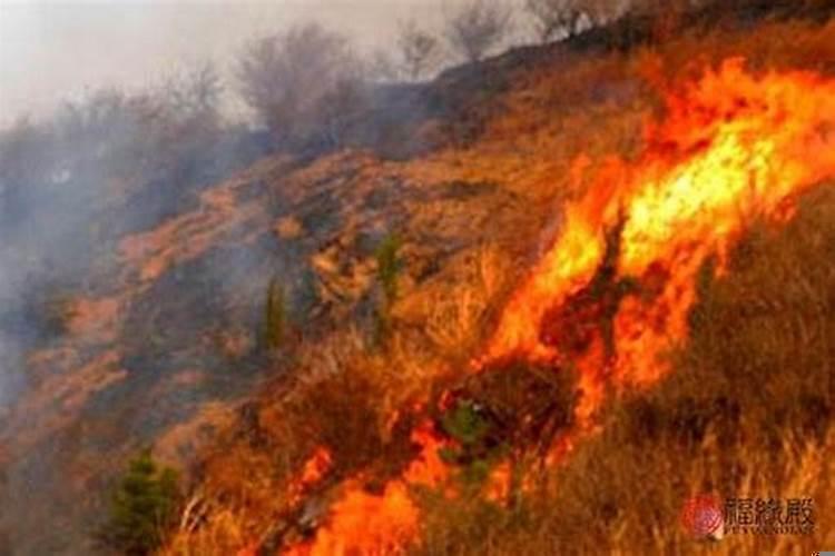 山头火和路旁土命相克吗