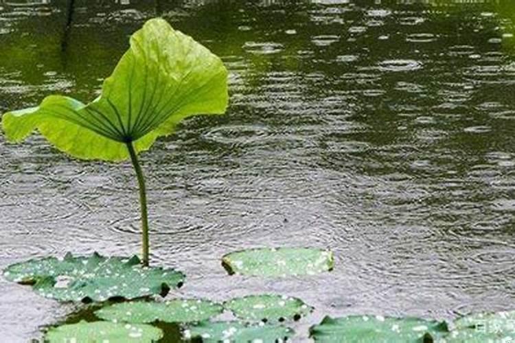 八字水多什么意思