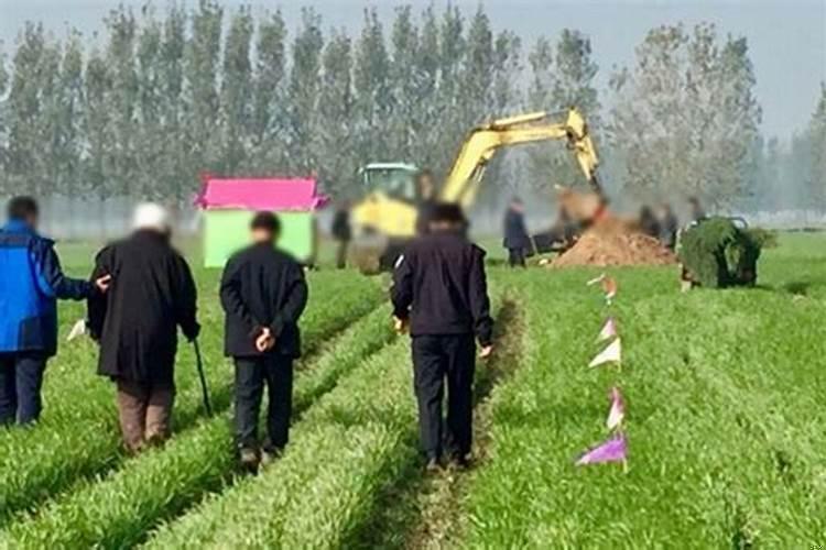 动土迁坟怎样选黄道吉日