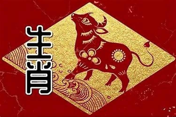 属小龙的和什么属相最配