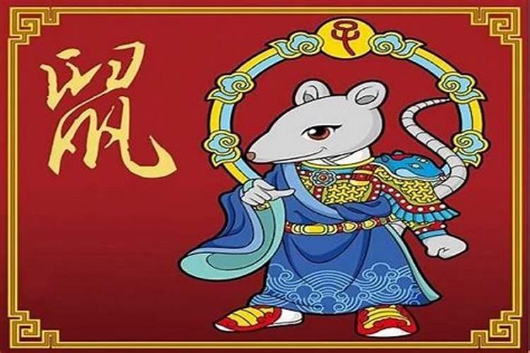 2020年属鼠属于什么鼠