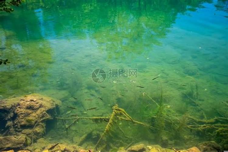 梦见情人的老婆发现了我们在一起