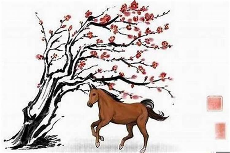 78年属马的有几次婚姻