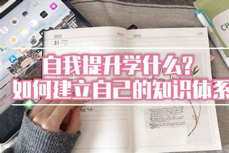 学什么才能提升自己