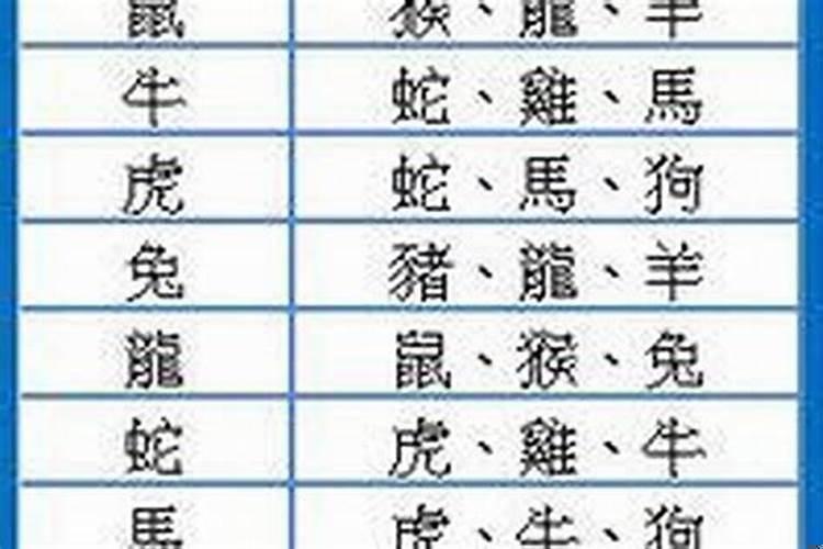 十二生肖的运气财运婚姻